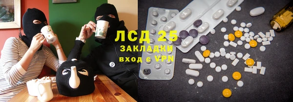 ГАЛЛЮЦИНОГЕННЫЕ ГРИБЫ Алзамай
