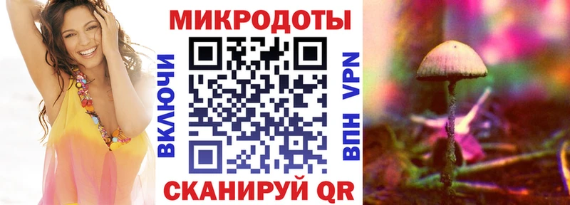 Галлюциногенные грибы Psilocybe  Лениногорск 